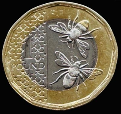 20 Bees &pound;1 coins KCIII UNC in bag