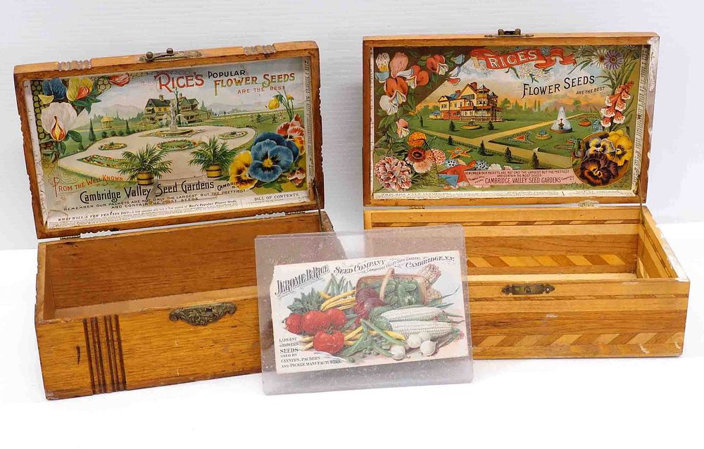 Lot 1446: (2) Wooden Rice's Flower Seeds boxes