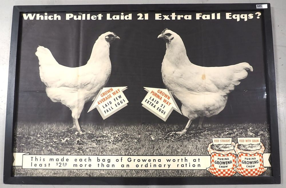 Lot 645: Purina Growena Chow & Growing Chow adv.