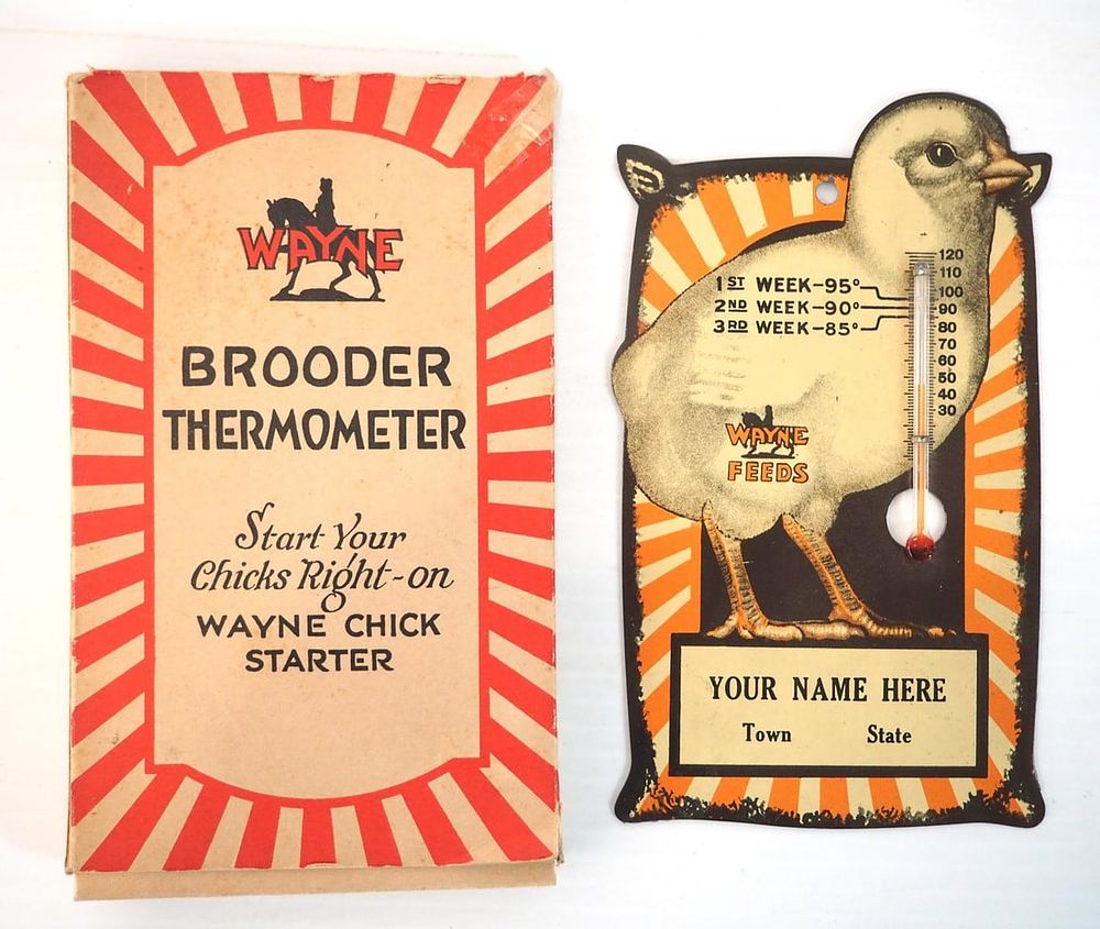 Lot 1020: SS Wayne Feeds Brooder thermometer