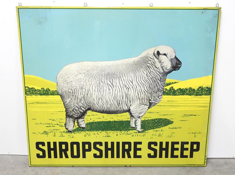Lot 136: Shropshire Sheep sign
