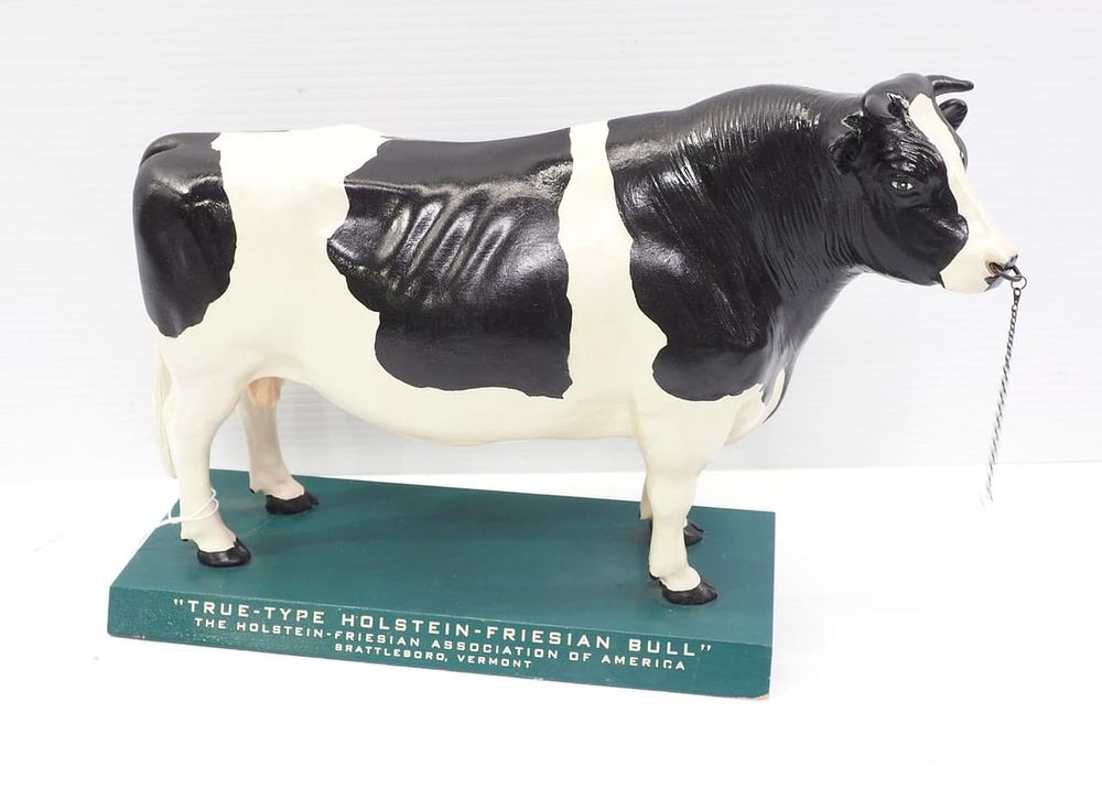Lot 1224: True Type Holstein Friesian bull