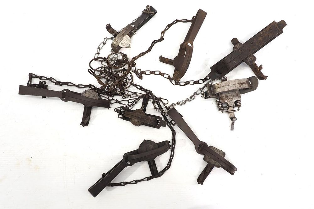 Lot 1247: 8 Assorted traps