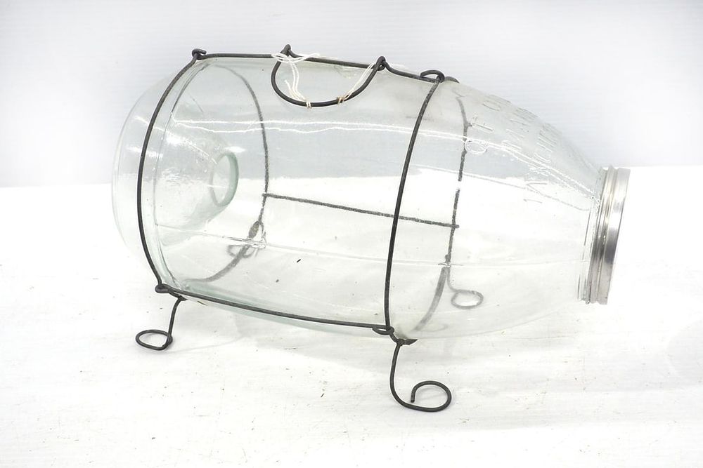 Lot 1310: Orvis Glass Minnow Trap