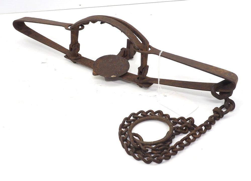Lot 1207: Trap with teeth