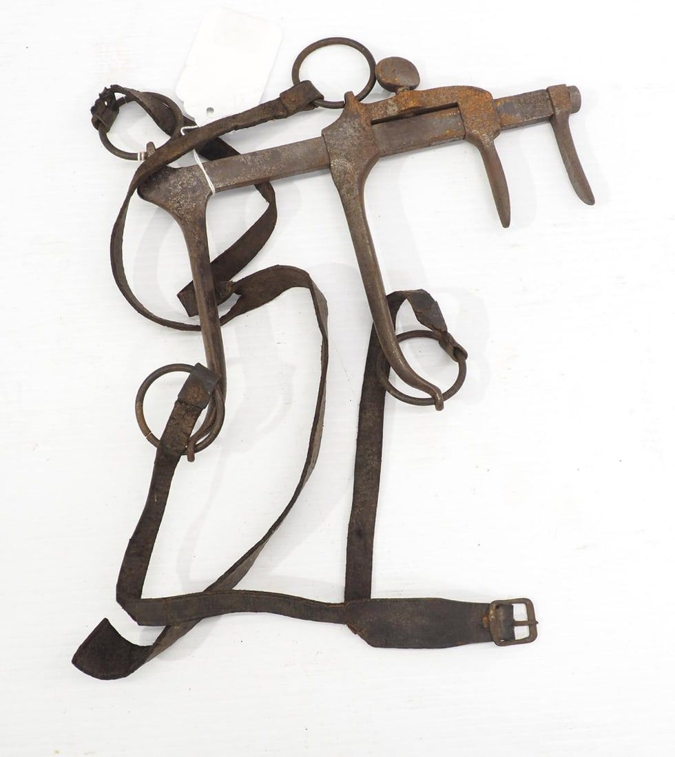 Lot 1308: Cast iron horse speculum