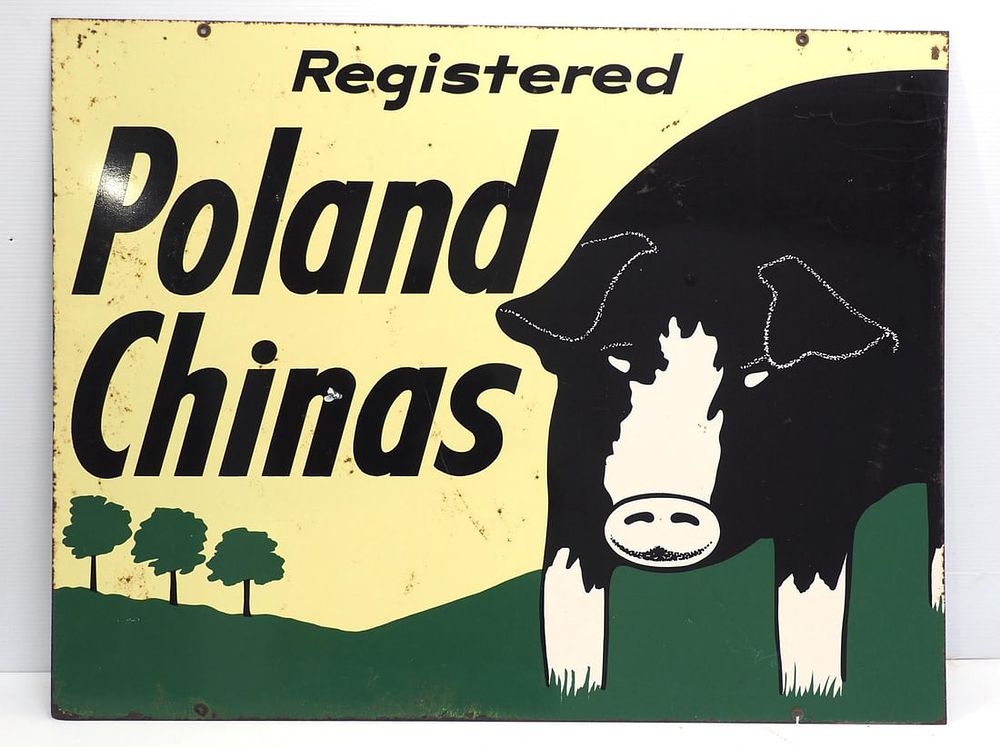 Lot 1310: Poland Chinas hog sign
