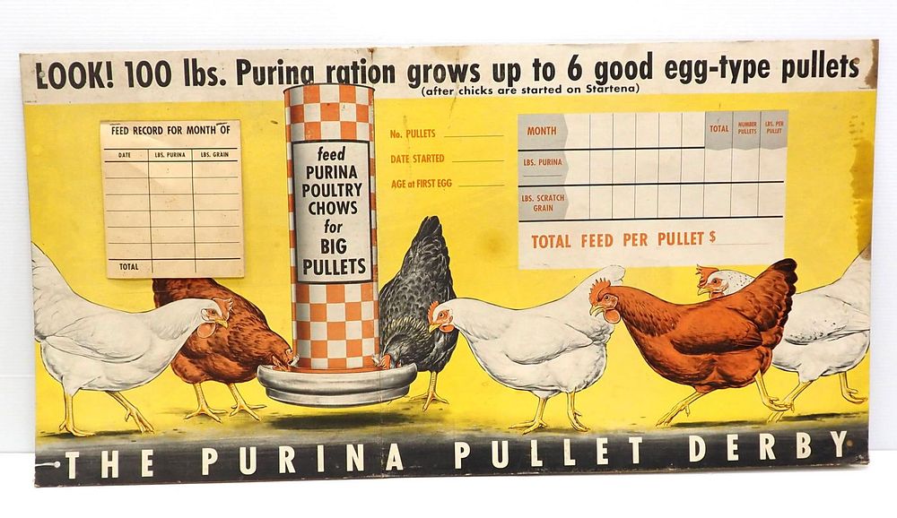 Lot 32: Purina Pullet Derby poultry feed stand-up sign