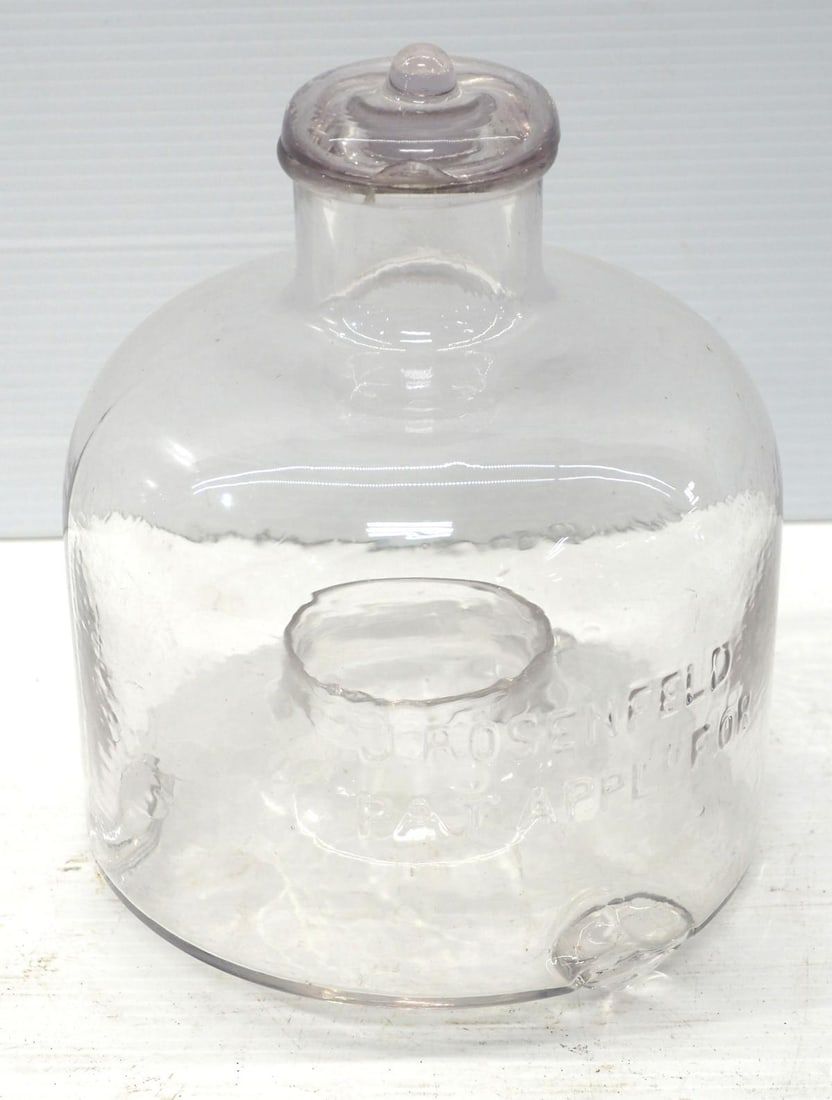 Lot 302: Glass fly trap