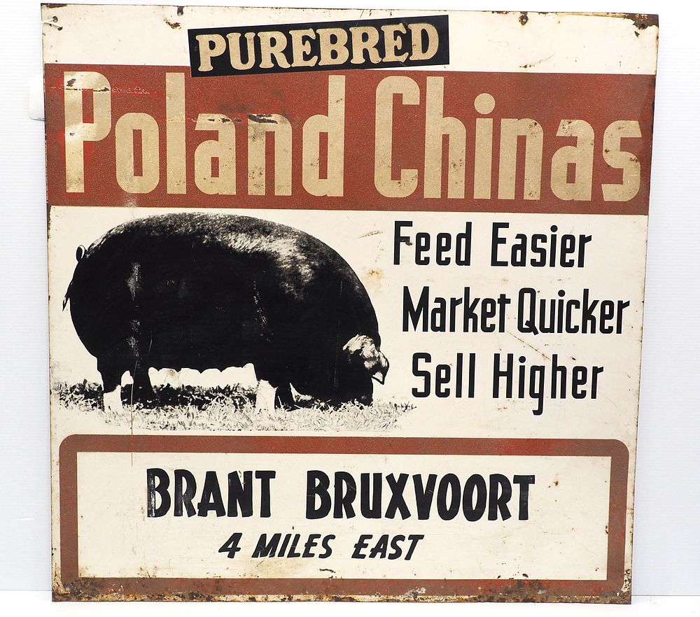 Lot 1133: Purebred Poland China Hogs reflective sign
