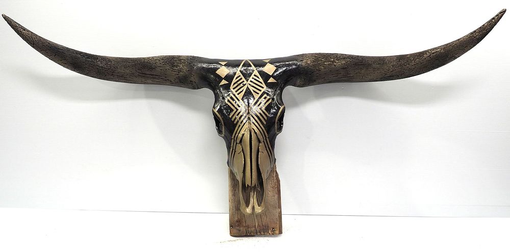 Lot 1322: European long horn skull mount