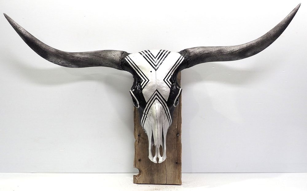 Lot 1323: European long horn skull mount