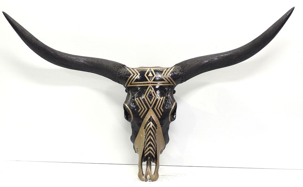 Lot 1324: European long horn skull mount