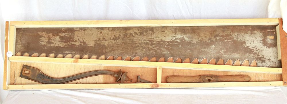 Lot 216: Disston Ice Saw