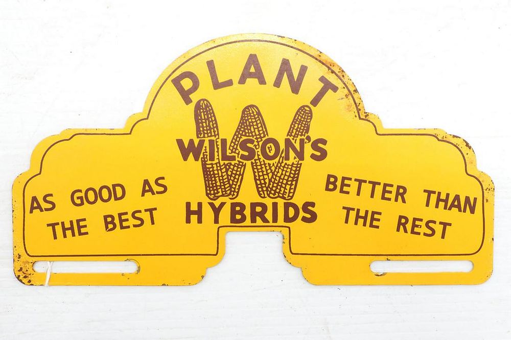 Lot 134: Wilson's Hybrid license plate topper