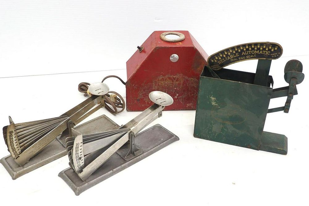 Lot 345: (4) egg scales