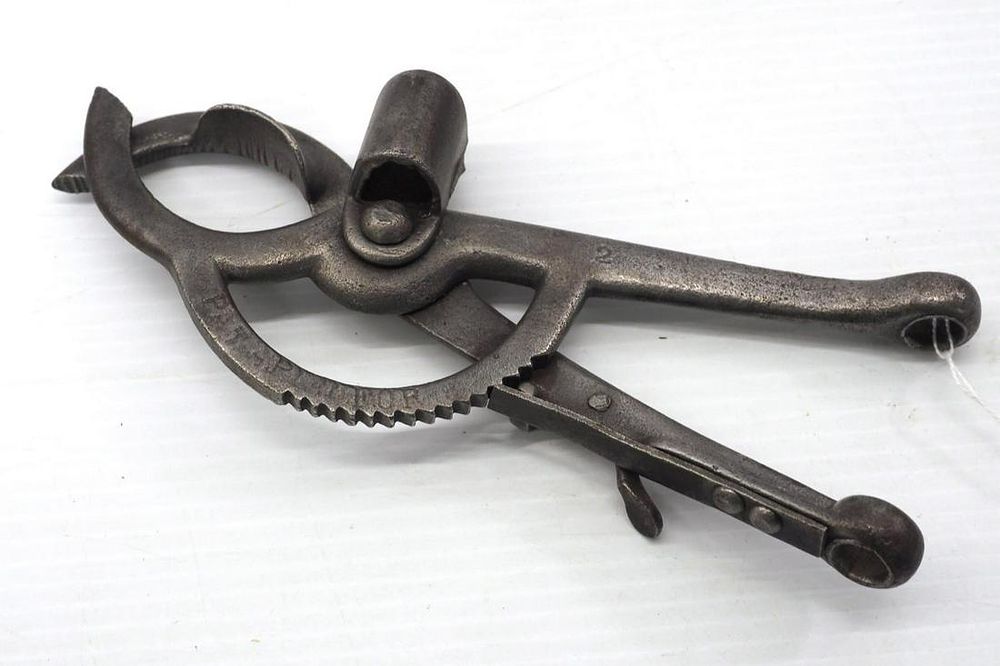 Lot 593: Bull lead