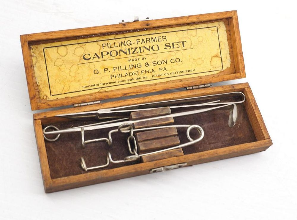 Lot 656: Chicken Pilling-Farmer Caponizig Set