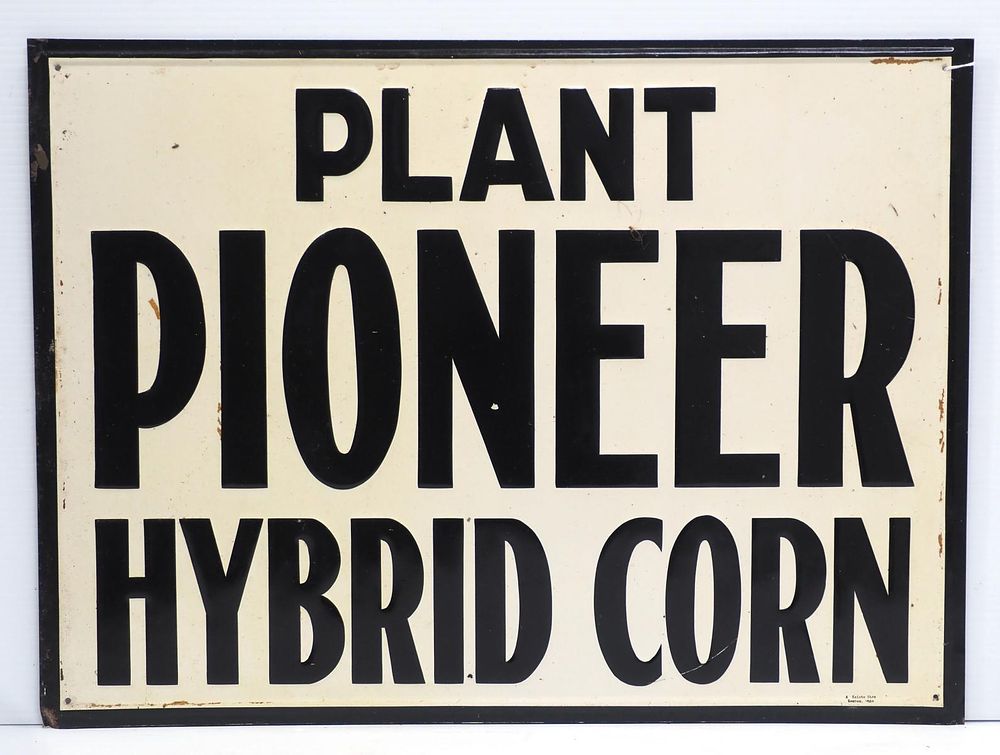 Lot 697: Plant Pioneer Hybrid Corn