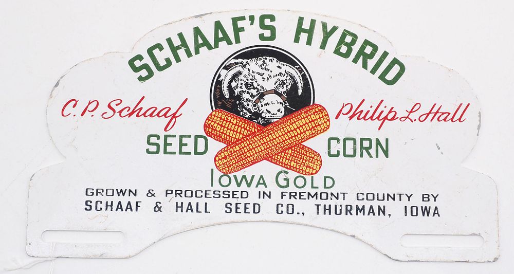 Lot 679: Schaaf's Hybrid Iowa Gold Seed Corn license plate topper
