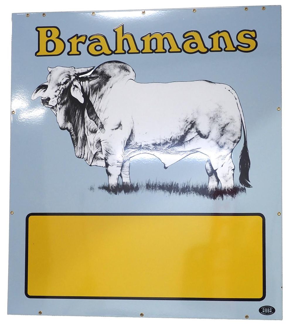 Lot 761: Brahmans Bull sign
