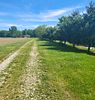 Auction Photos & Description. PHONE BID 
REAL ESTATE AUCTION 
PROPERTY LOCATED: 4&frac12; miles Image - 5
