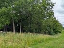 Photos and Details. REAL ESTATE AUCTION 
PROPERTY LOCATED: 1&frac12; miles north of Howe, IN on Image - 8