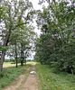 Photos and Details. REAL ESTATE AUCTION 
PROPERTY LOCATED: 1&frac12; miles north of Howe, IN on Image - 9