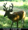 Photos and Details. PHONE BID REAL ESTATE AUCTION 
PROPERTY LOCATED: 12 miles north of Image - 2