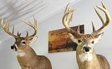 Photos and Details. PHONE BID REAL ESTATE AUCTION 
PROPERTY LOCATED: 4 miles north of Image - 1