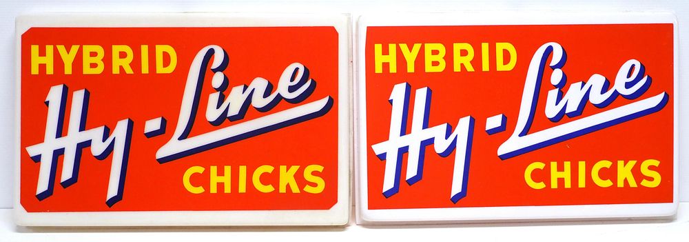 Lot 387: Hy-Line Hybrid Chicks inserts for sign