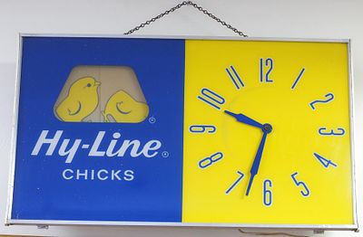 Hy-Line Chicks lighted clock with rotating chicks. 25.5"x15" tin & plastic Hy-Line Chicks 