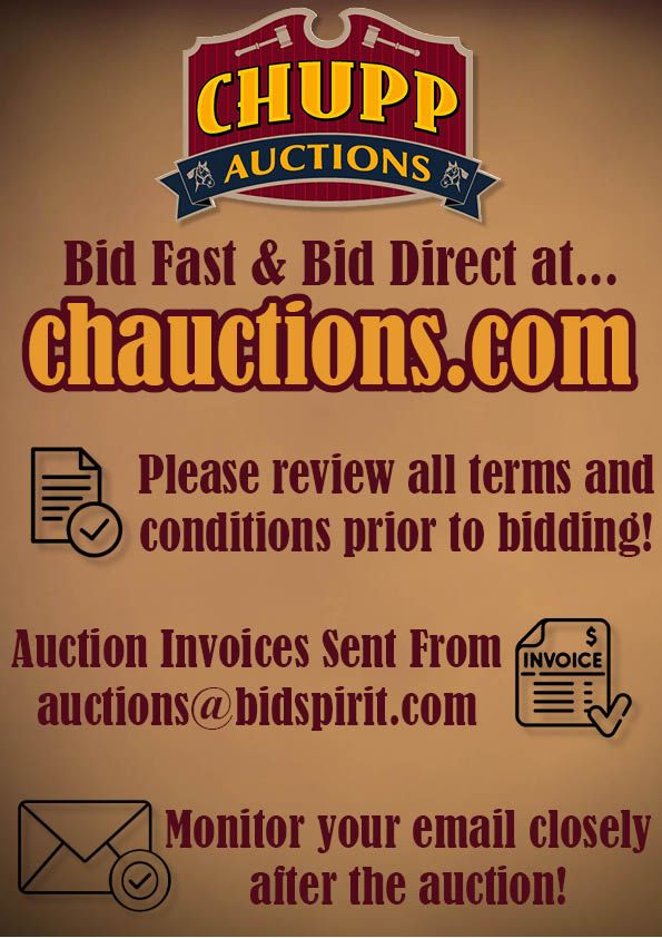 Lot 600: TERMS & CONDITIONS