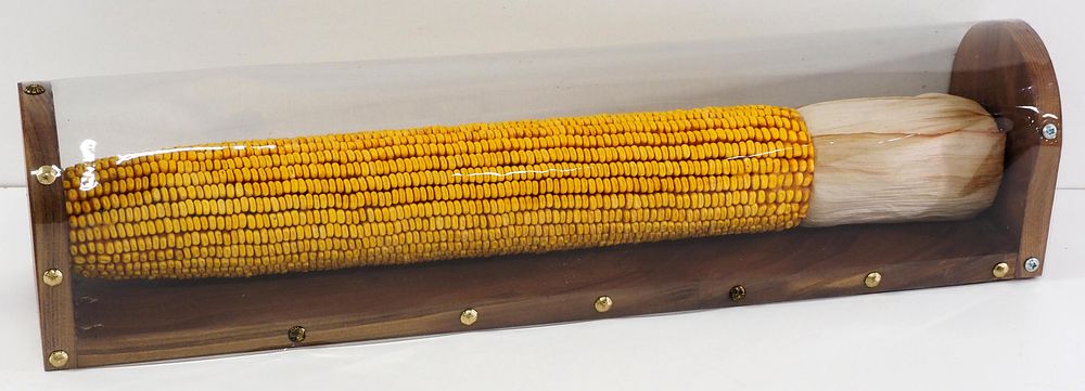 Lot 812: Oversized homemade ear of corn