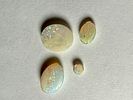 ארבעה אבני אופל טבעי - 0.25-0.60-2.25-2.45 CT - עם ניצנוצי צבעים יפים - NATURAL OPAL - משקל תמונה - 3