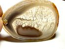 תליון אבן חן אגת - AGATE טבעי עם מתלה זהב 14 קרט חתום - 5.5X4 ס''מתמונה - 1