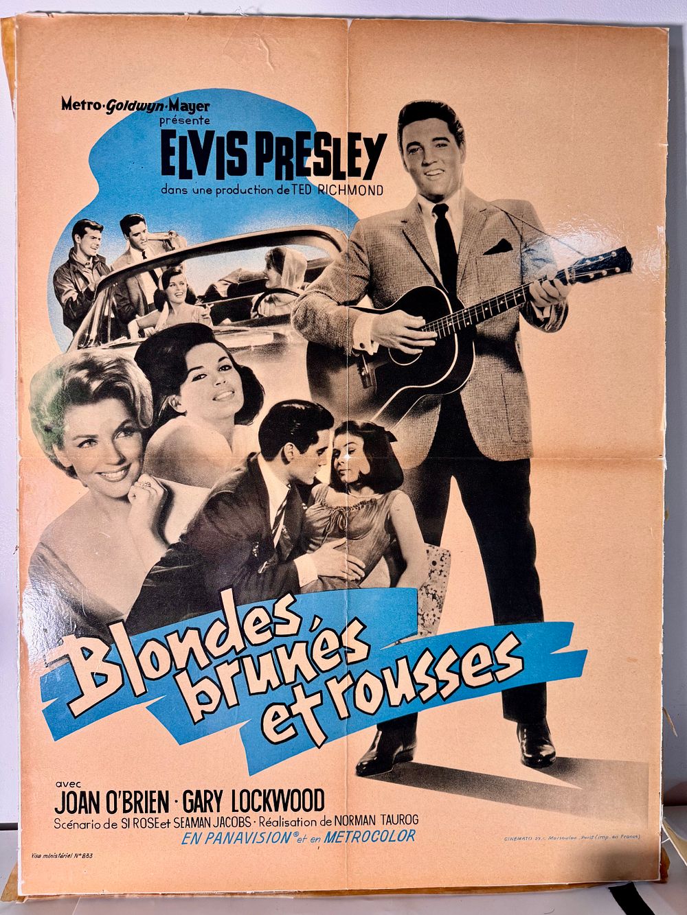 Blondes, Brunes et Rousses (1963): פוסטר לסרט של אלביס פרסלי (Elvis Presley) על גבי קרטון (MGM 