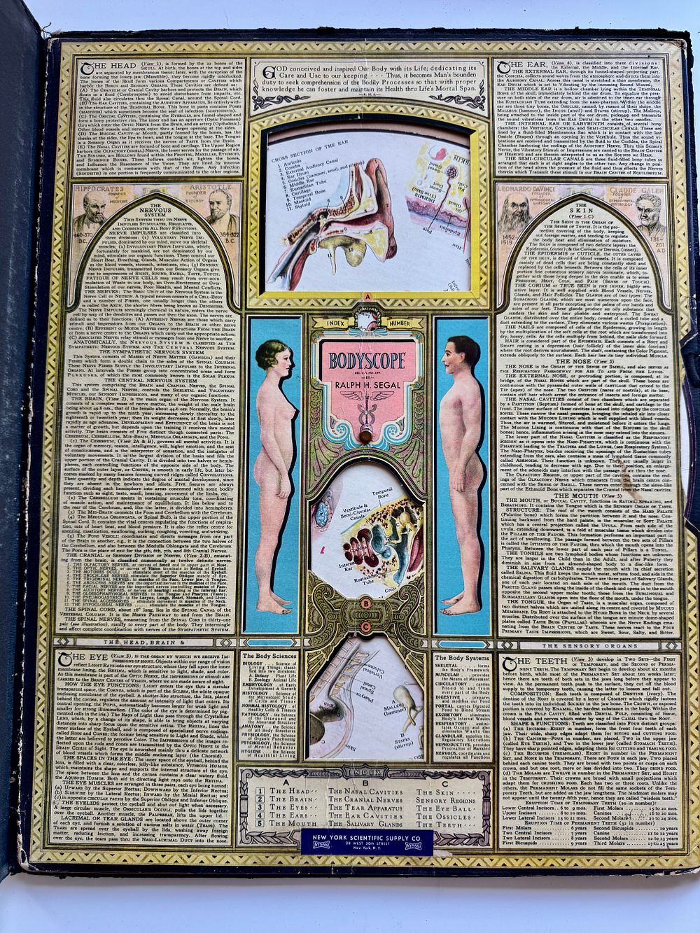 Bodyscope (1948): ספר רפואי אינטראקטיבי נדיר מאת ראלף סגל (De Ralph SEGAL Medical Interactive). 