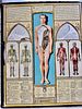 Bodyscope (1948): ספר רפואי אינטראקטיבי נדיר מאת ראלף סגל (De Ralph SEGAL Medical Interactive). תמונה - 2