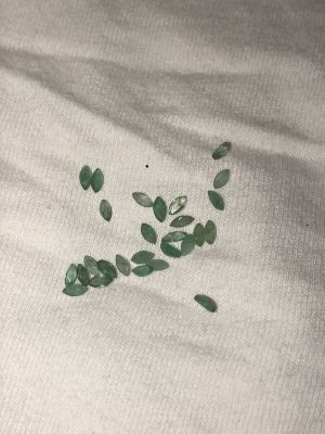 לוט 27 אבני חן אמרלד ירוק ליטוש מרקיזה משקל 2.17 CT סהכ נקיון וצבע שונה בכל אחד נא ראו בתמונות