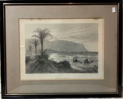 תחריט הר הכרמל מהמאה ה19 J.D.WOODWARD, PINX. E.BRANDARD, SCULPT גודל 21X29 ס''מ