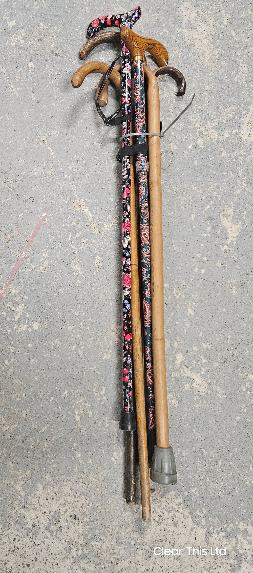 Lot 213: Six Walking Sticks