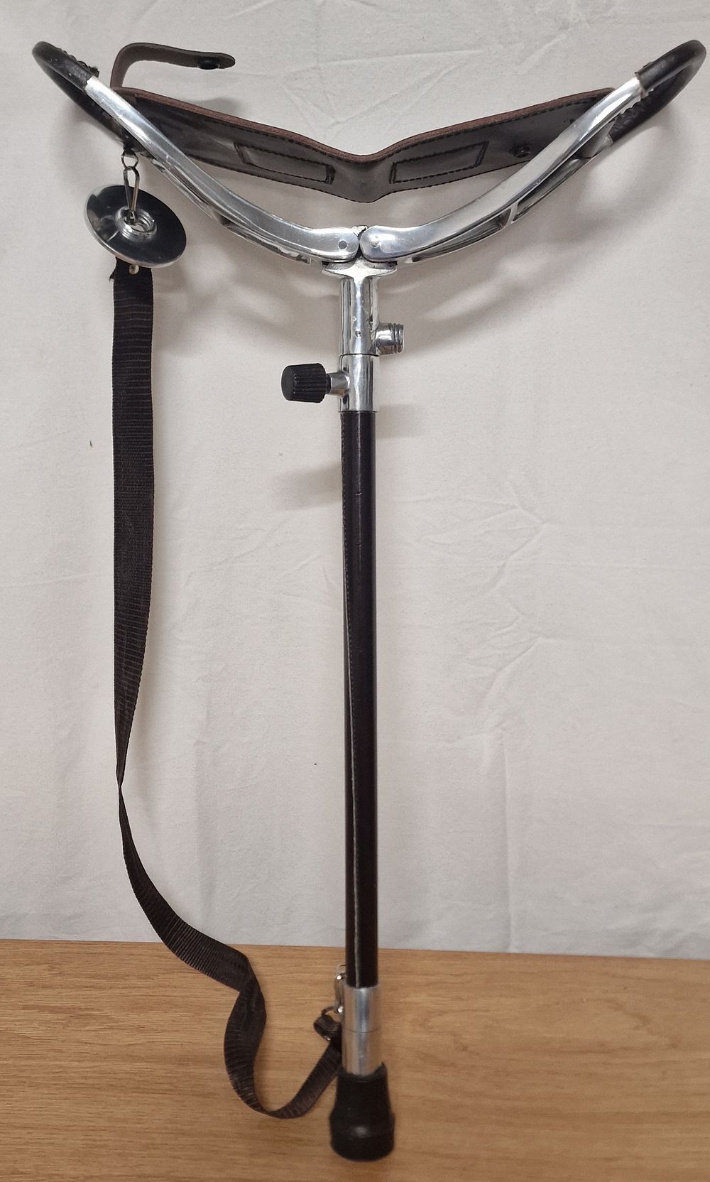 Lot 263: Shooting Stick