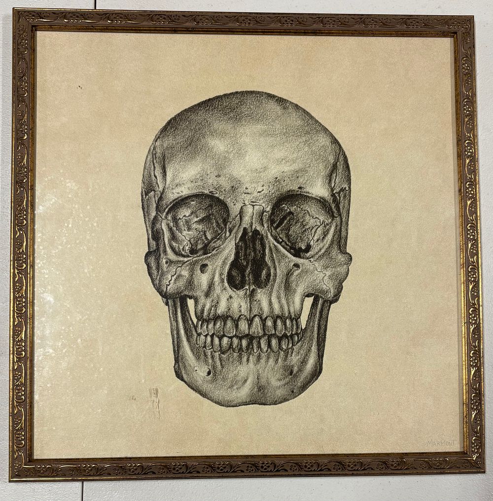 Lot 23a: Square Gilt Framed Skull Picture