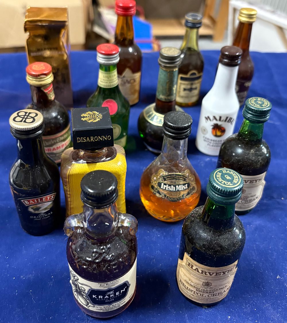 Lot 157: Fourteen Miniature Alcohol collectables