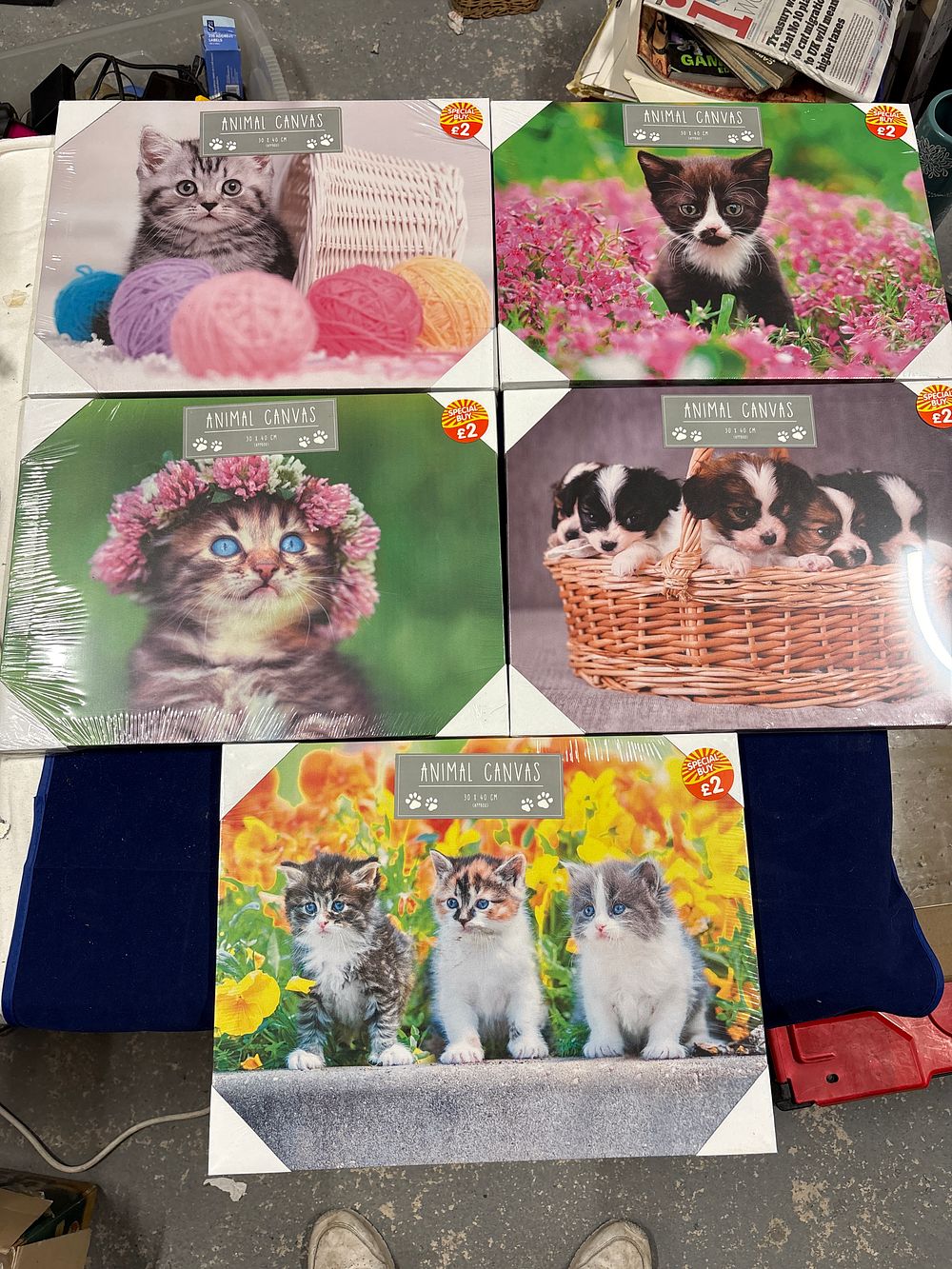 Lot 196: Five New Colourful Animal Prints
