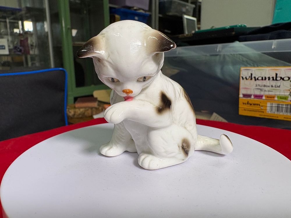 Lot 161: Cats of Character “ Wash time”
