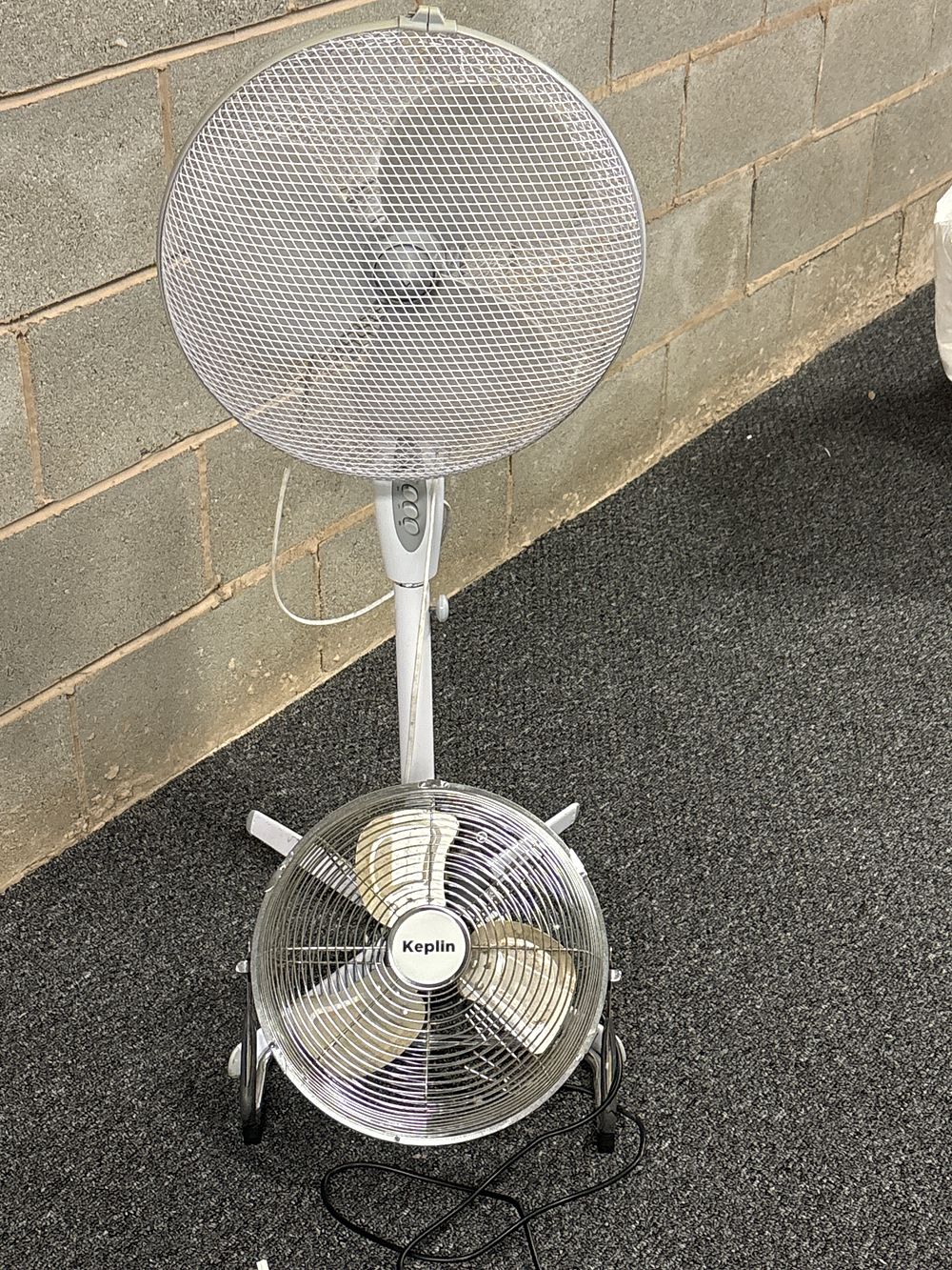 Lot 161: Two Fans as pictured