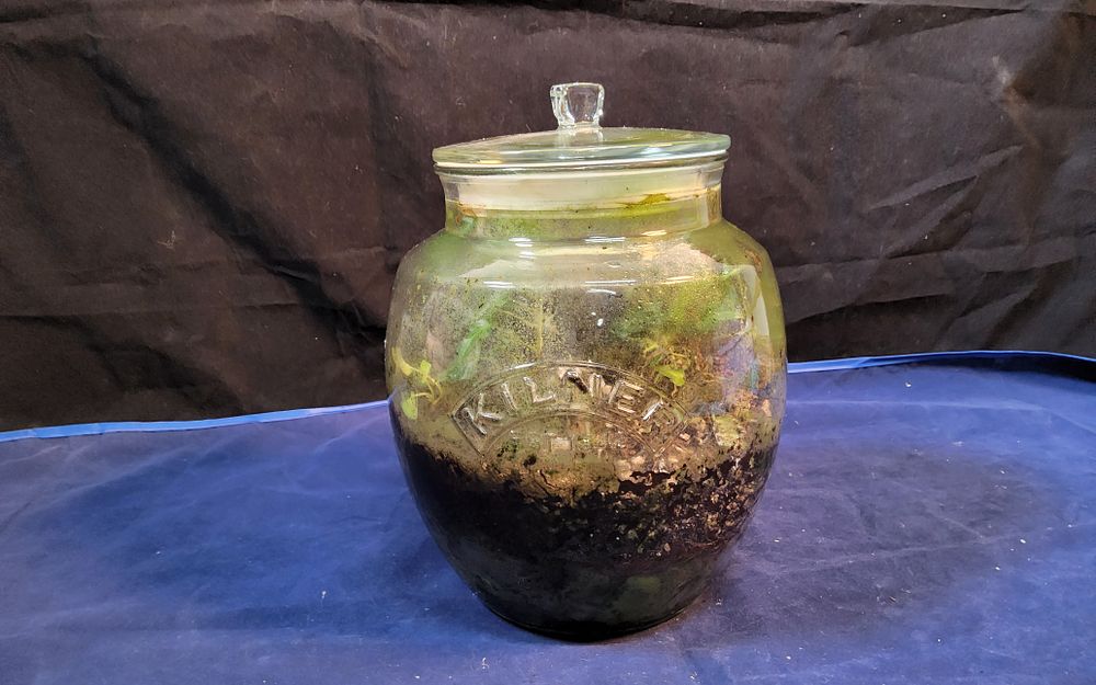 Lot 183: Kilner Jar Terraruim.