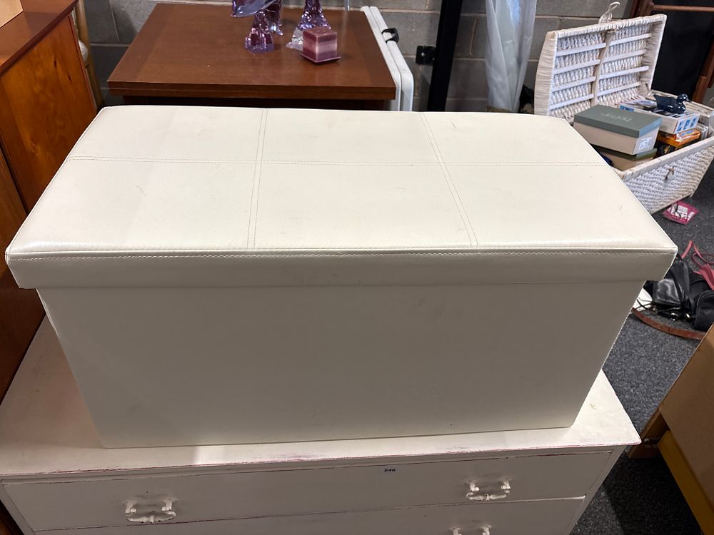 Lot 247: Storage Box / Seat